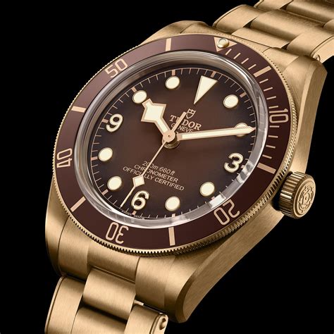 tudor bronze black bay 58